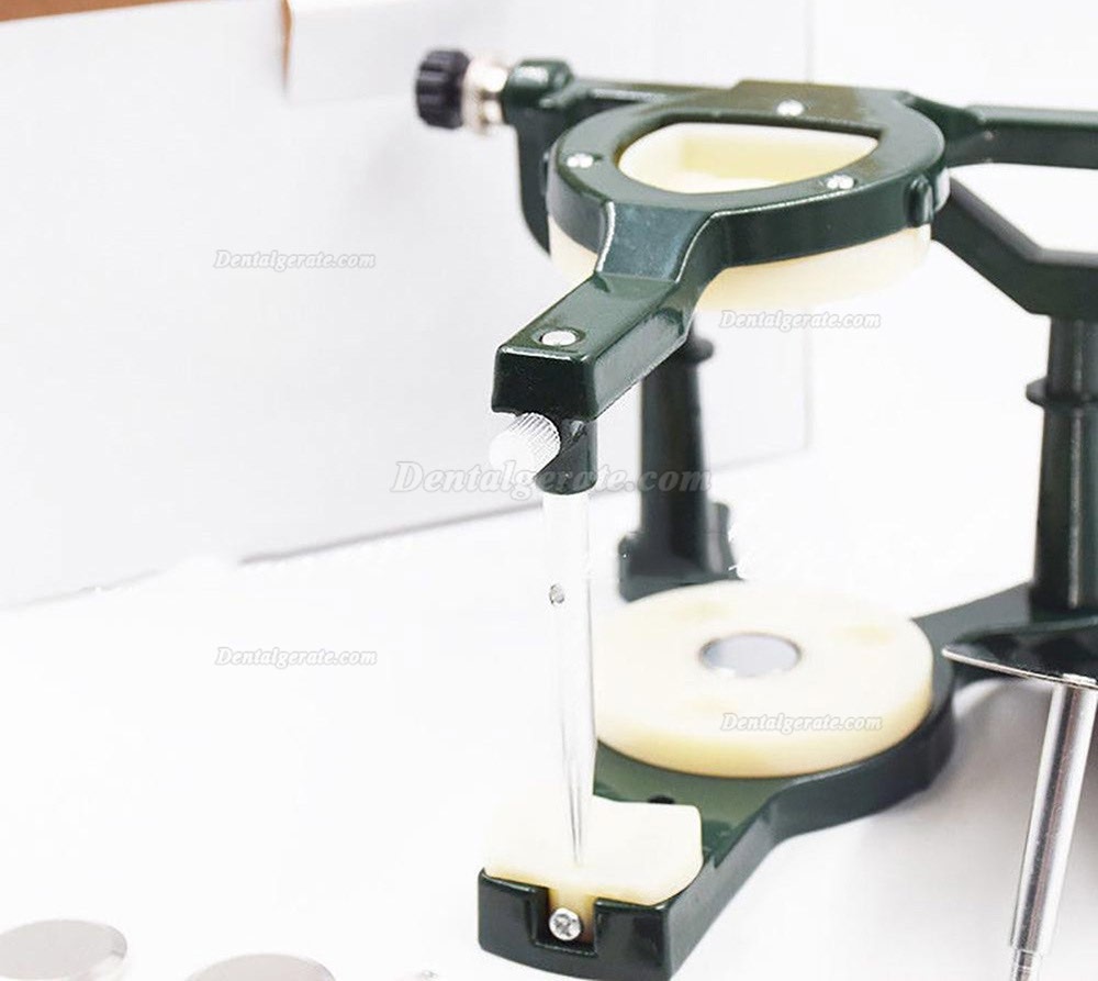 Dental Magnetic einstellbar Gro&szlig;e Artikulator